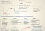 write physics SEO blog posts, researched articles, handouts